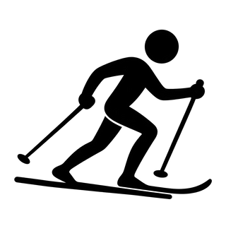 Lyže a běžky